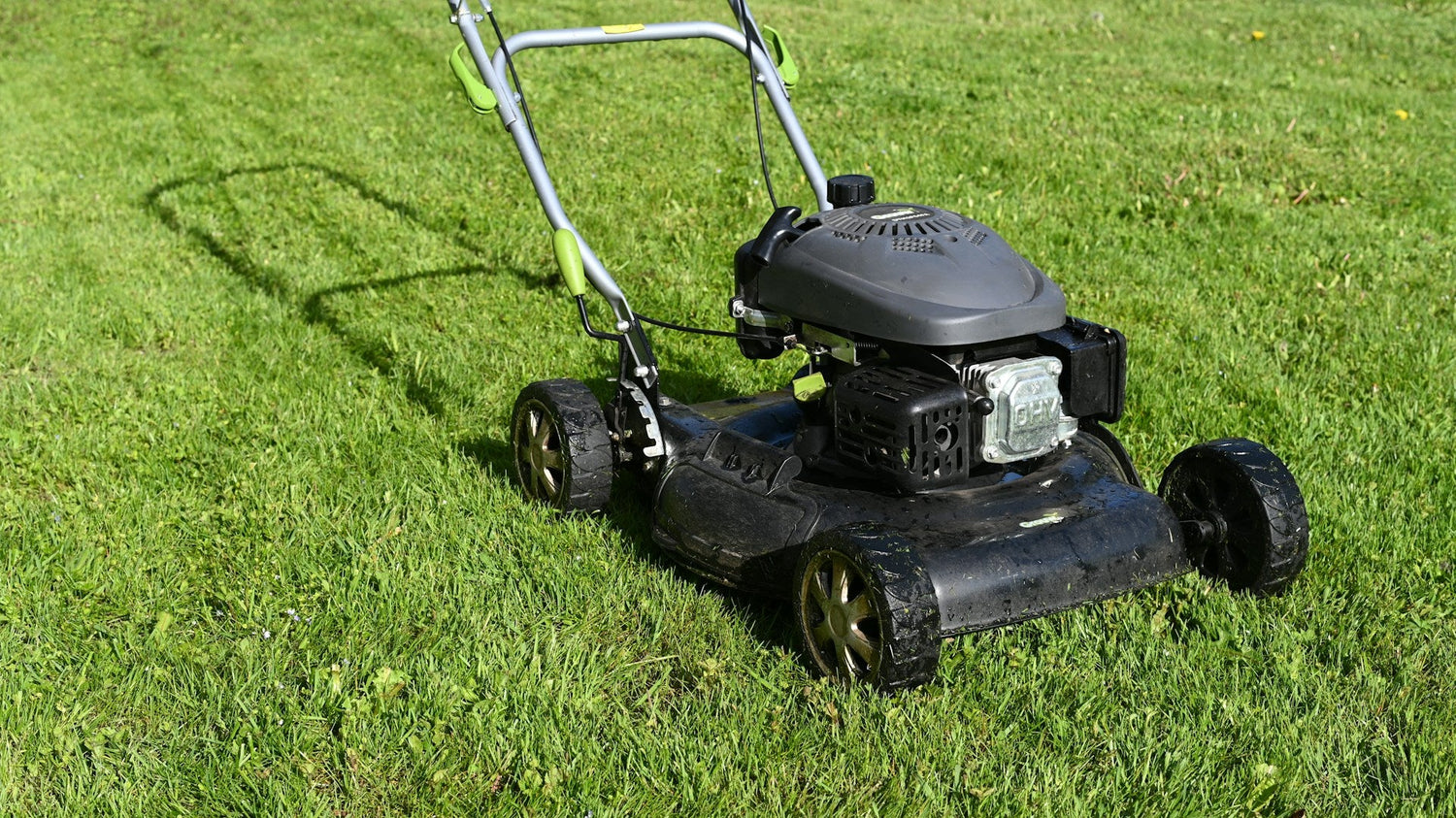 Lawn