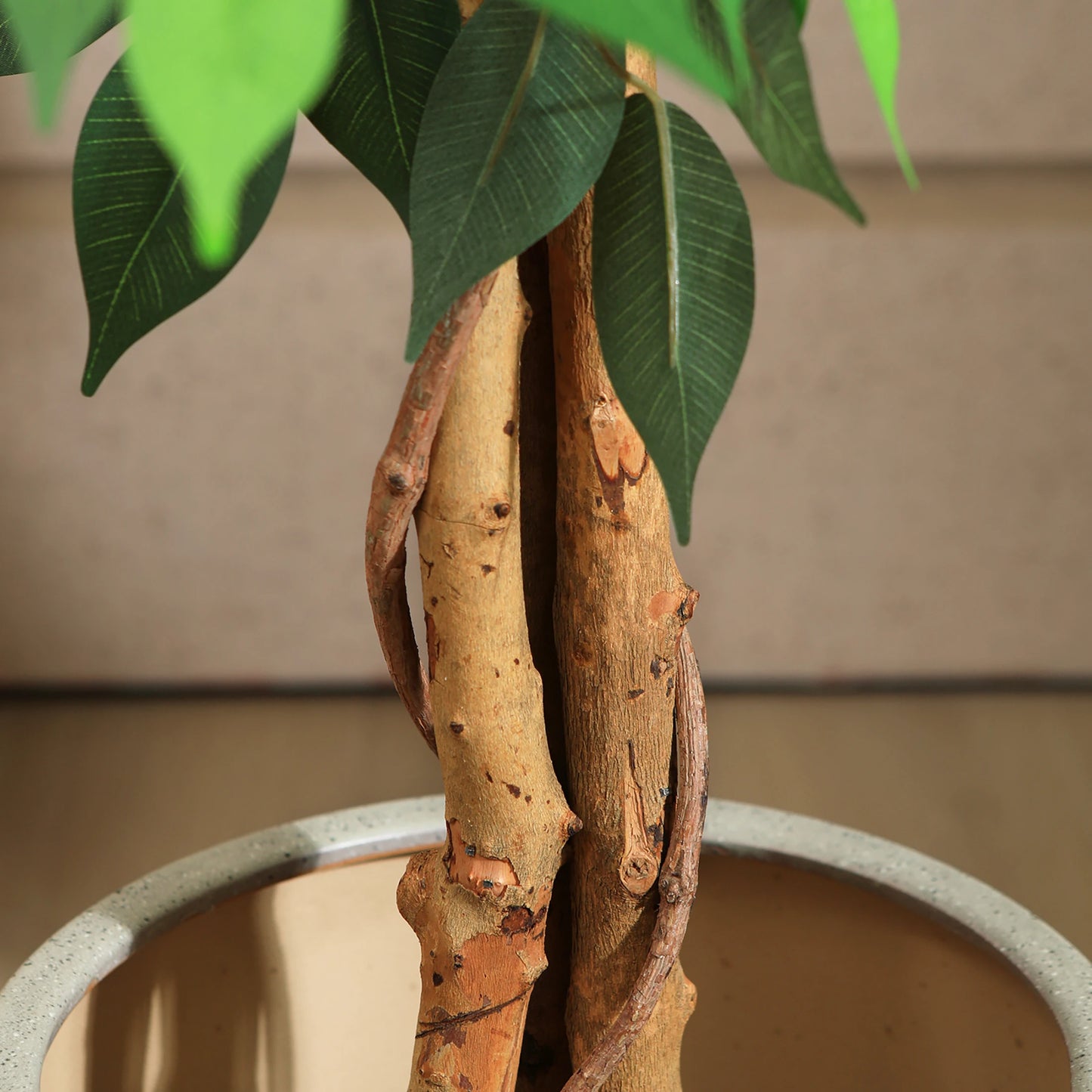 KAZEILA Artificial Ficus Tree With Natural Curved Trunk Decor